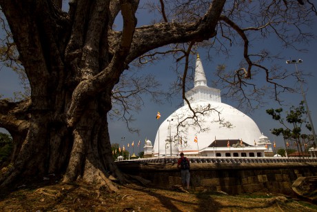 Stupa Ruwanmelisaya v Anuradhapuře.