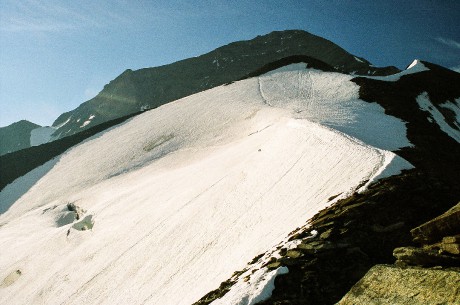 Wiesbachorn nad ledovcem Fochezkees.