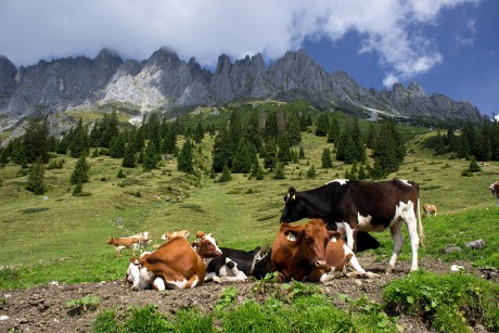 Hochkönig nás přivítal.