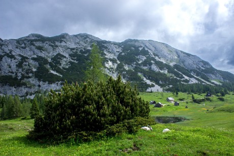 Tauplitzalm.