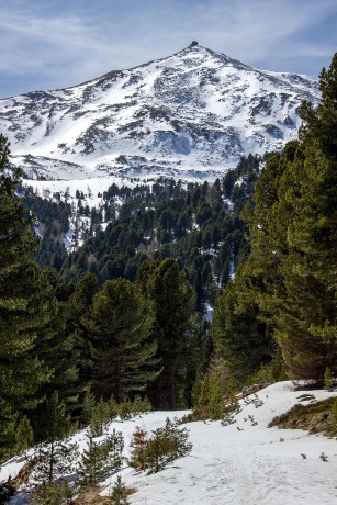 Okraj lesa se blíží a Zirbitzkogel se vypíná nad námi.