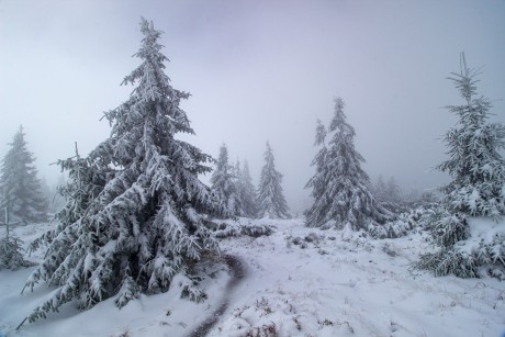 Ve vrchní části Małe Babie Góry.