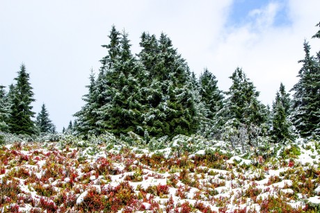 Zmrzlý sníh nahoře byl jen ukázkou, jak Babí hora vypadá v zimě.