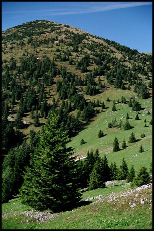 Suchý vrch - 1.550 m n. m.