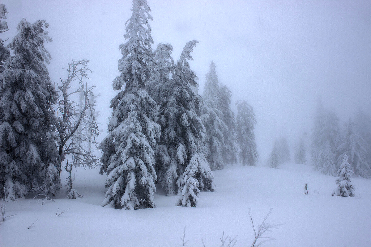 20. 1. 2018. Takhle moc hezky bylo na Svarohu.