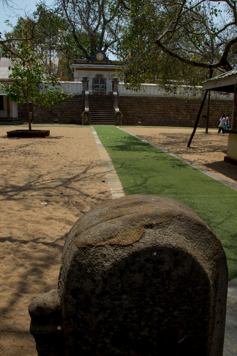 Sri Maha Bodhi  v Anuradhapuře. 