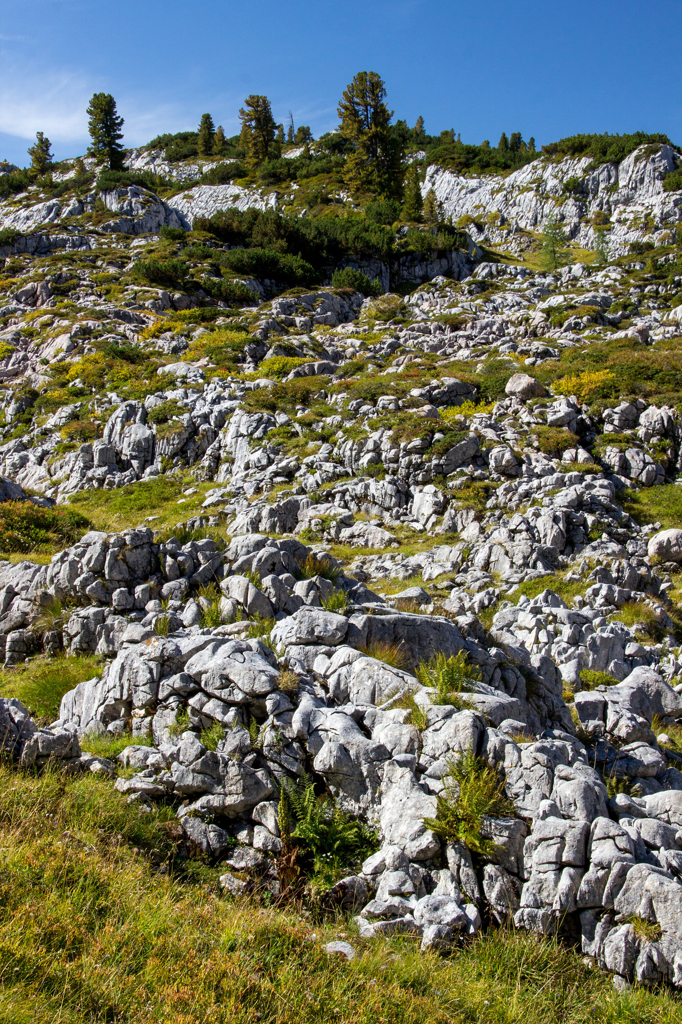 Členitá krajina Bertechsgadenských Alp.