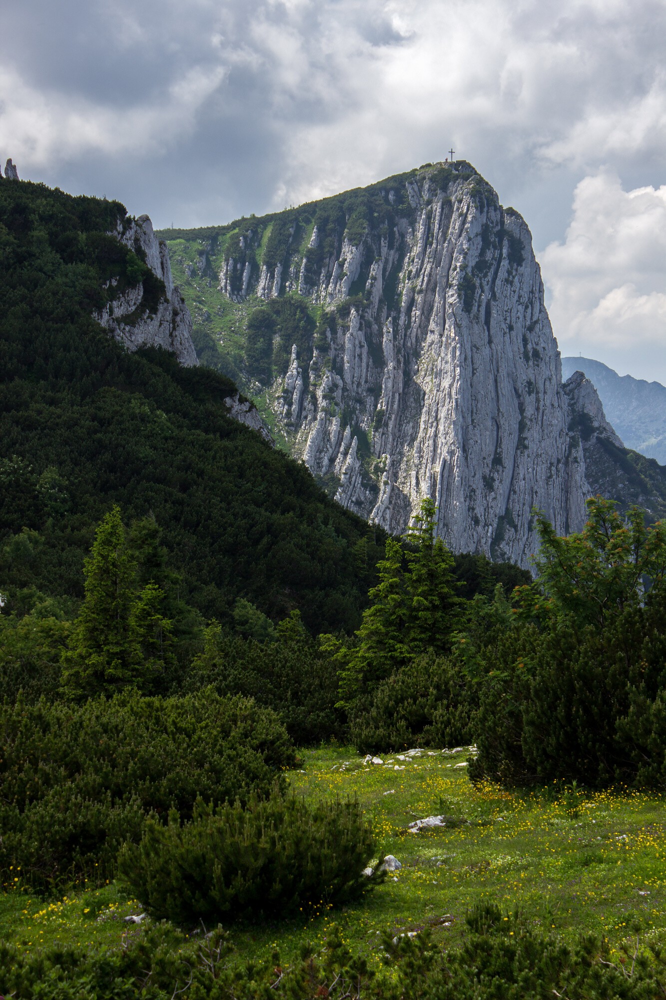 Pohled na Alberfeldkogel.