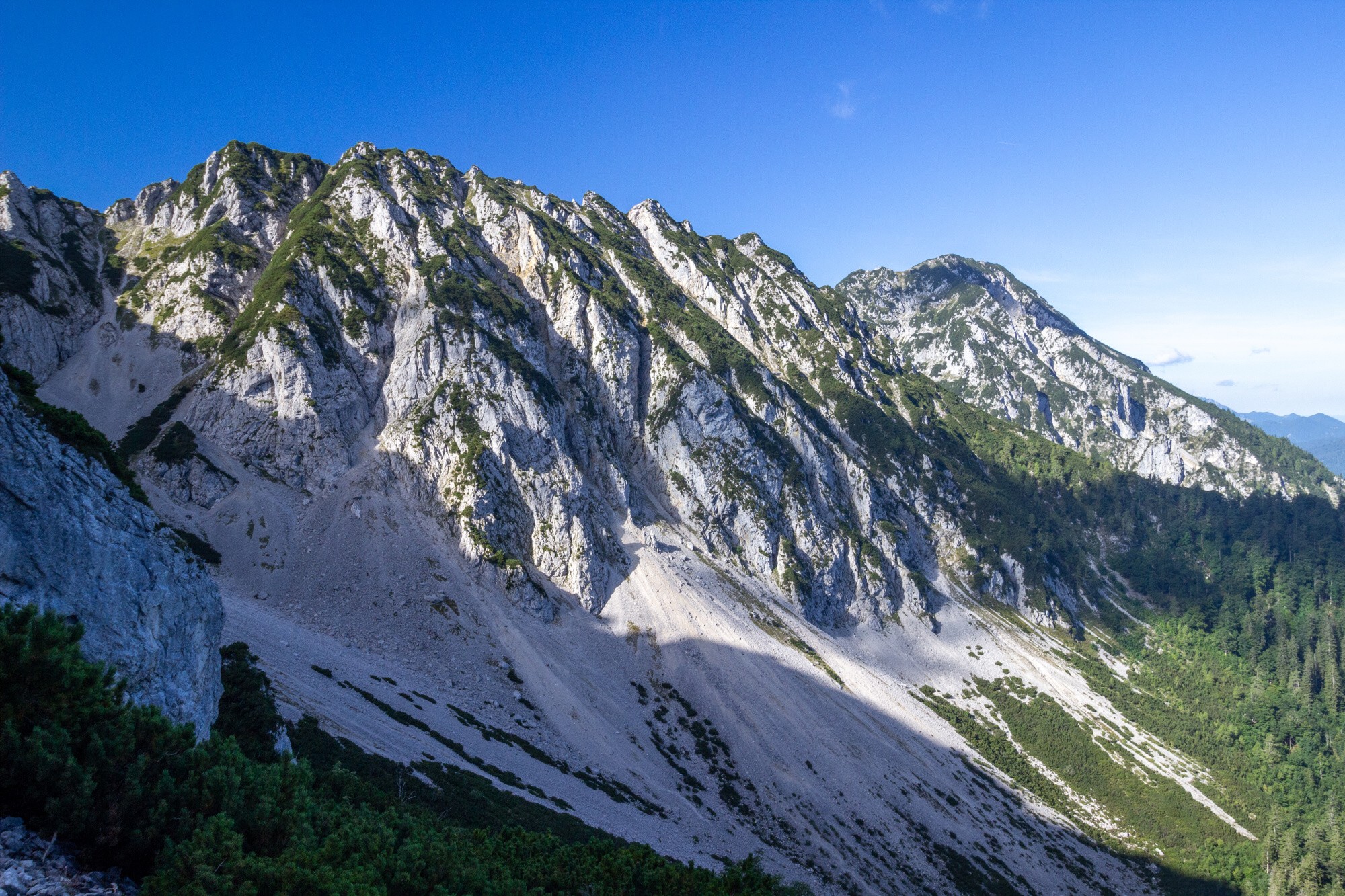 V pozadí se rozprostírá Zwiesel vysoký 1.782 metrů.