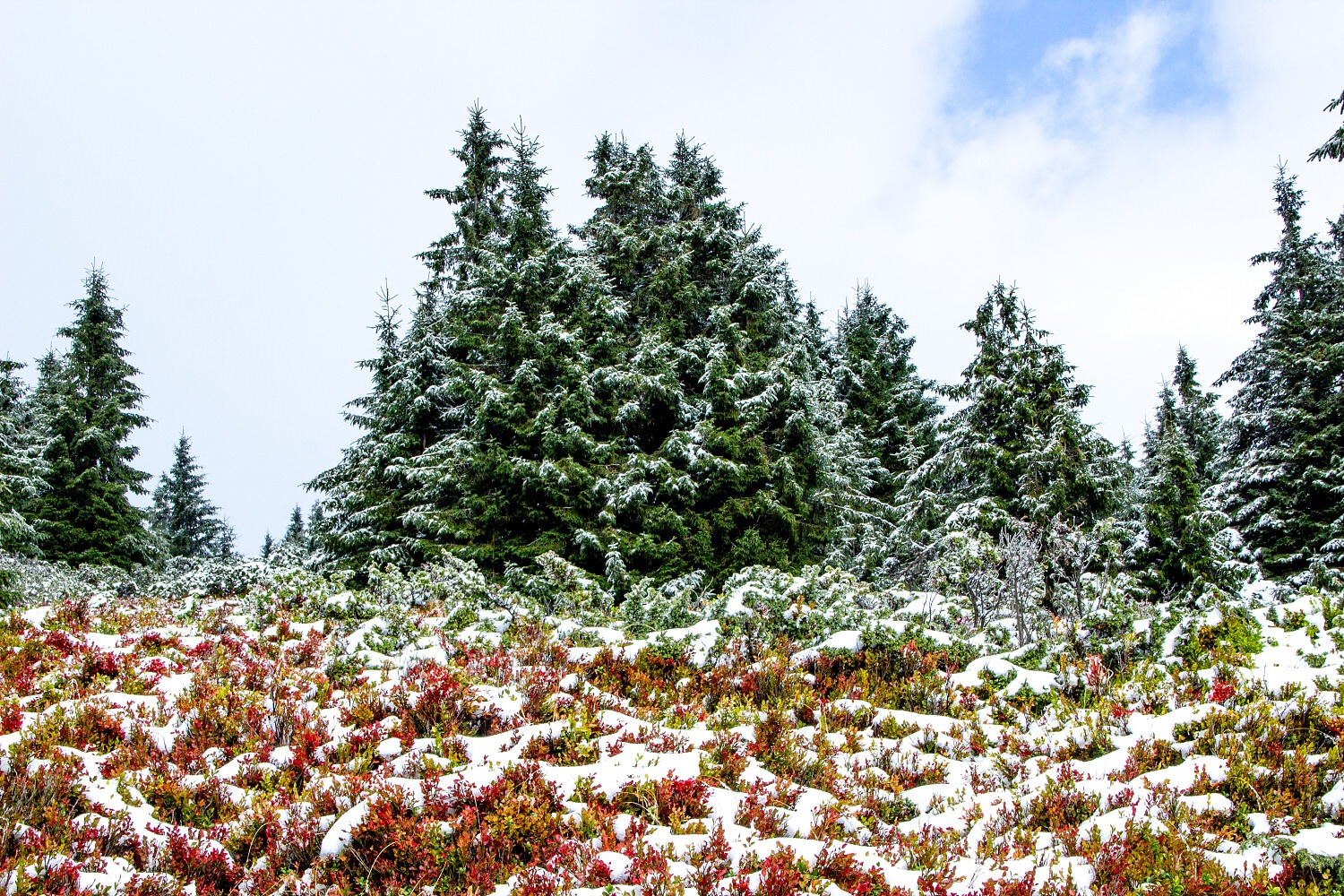 Zmrzlý sníh nahoře byl jen ukázkou, jak Babí hora vypadá v zimě.