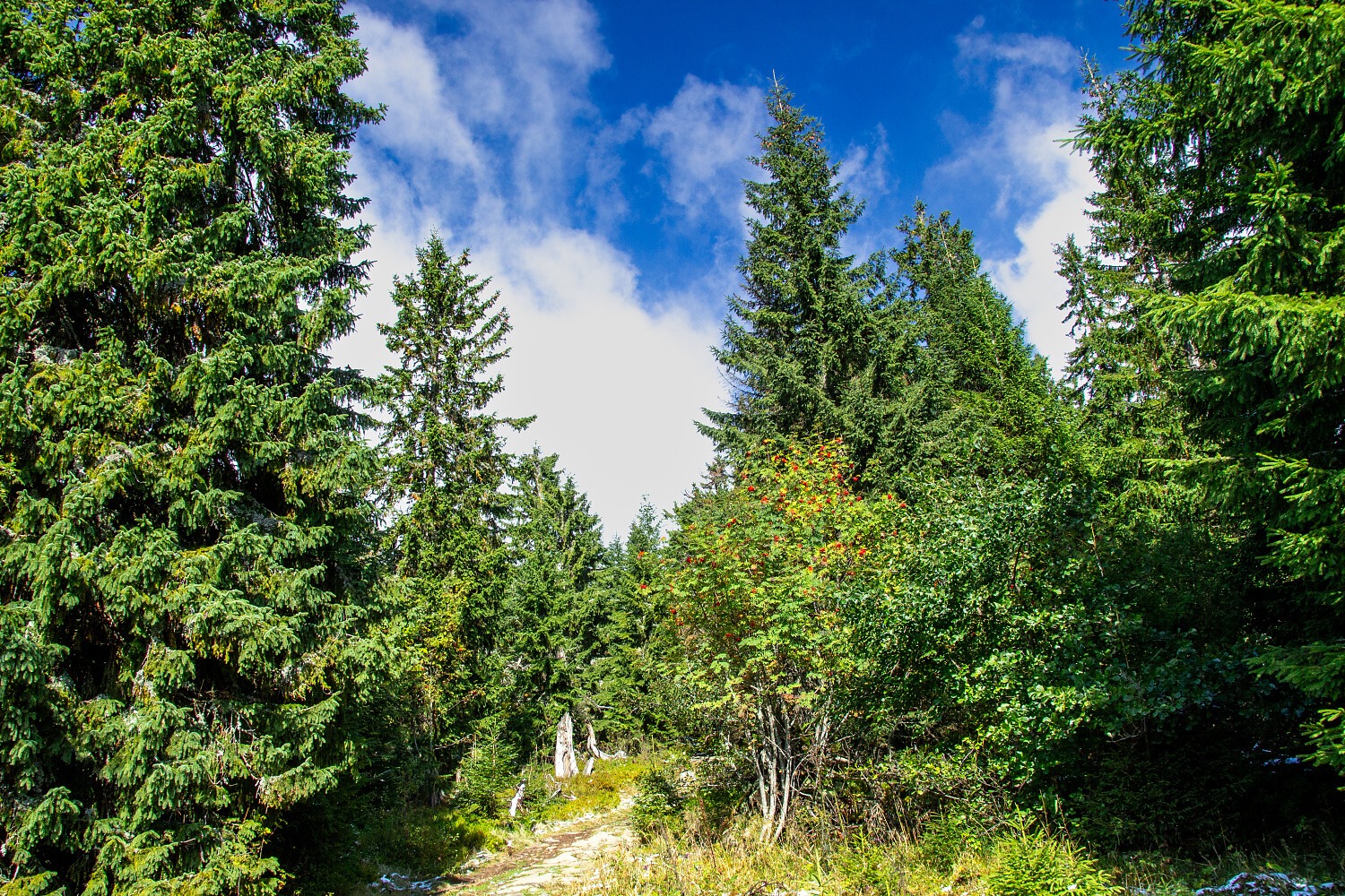 Ohlédnutí za Babí horou i za skvělým výletem.